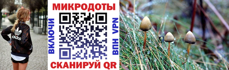 Псилоцибиновые грибы MAGIC MUSHROOMS  Старый Крым 